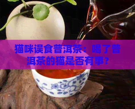 猫咪误食普洱茶：喝了普洱茶的猫是否有事？