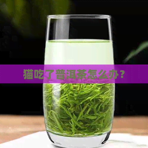 猫吃了普洱茶怎么办？