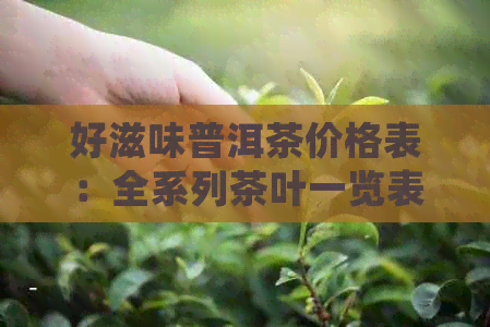 好滋味普洱茶价格表：全系列茶叶一览表，详细解析各款茶的价格和特点。