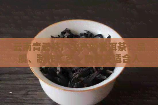 云南青云茶厂生产的普洱茶：品质、制作工艺、口感及适合人群的全面指南