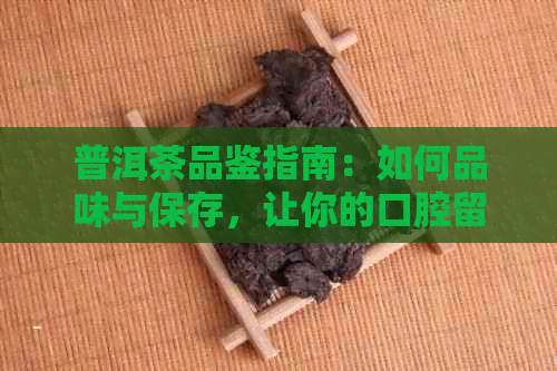 普洱茶品鉴指南：如何品味与保存，让你的口腔留香一整天