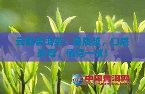 云的普洱茶：品质越，口感醇厚，值得一试！