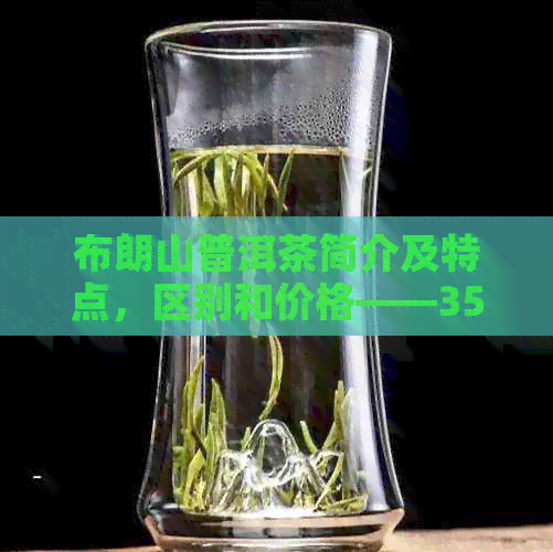 布朗山普洱茶简介及特点，区别和价格——357克布朗山普洱茶详解