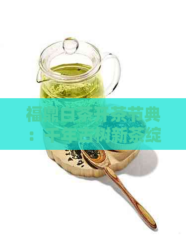 福鼎白茶开茶节典：千年古树新茶绽放，茶艺大师现场直播教学