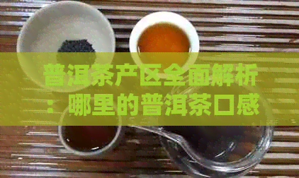 普洱茶产区全面解析：哪里的普洱茶口感？之一名的惊人秘密揭晓！