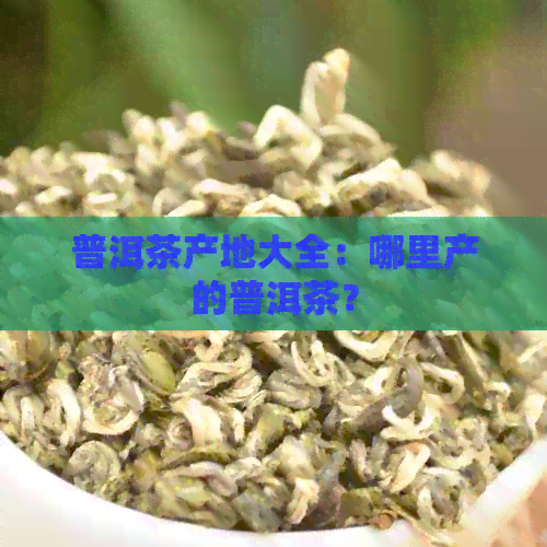 普洱茶产地大全：哪里产的普洱茶？