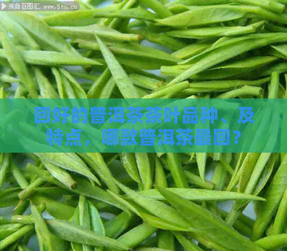 回好的普洱茶茶叶品种、及特点，哪款普洱茶最回？