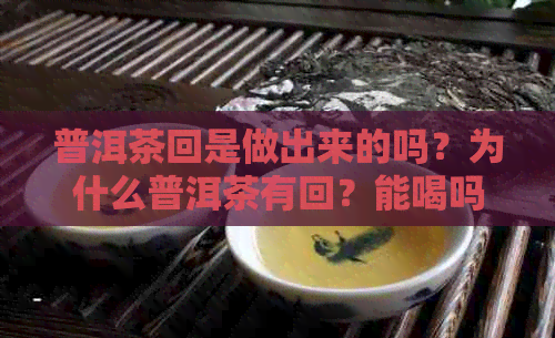 普洱茶回是做出来的吗？为什么普洱茶有回？能喝吗？