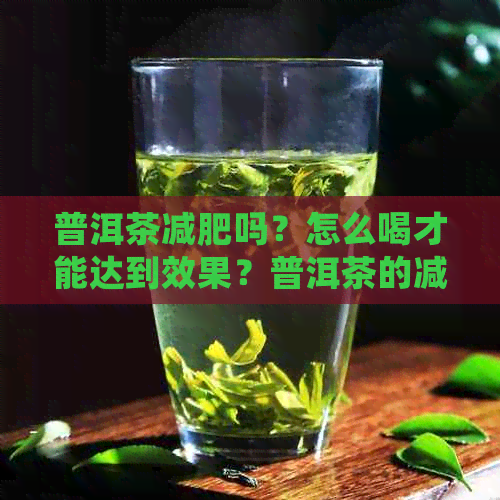 普洱茶减肥吗？怎么喝才能达到效果？普洱茶的减肥效果怎么样？