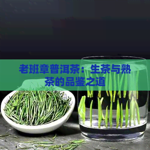 老班章普洱茶：生茶与熟茶的品鉴之道