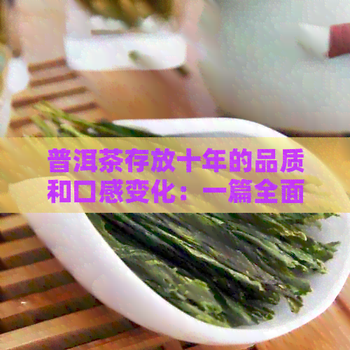 普洱茶存放十年的品质和口感变化：一篇全面解析