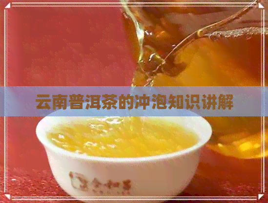 云南普洱茶的冲泡知识讲解