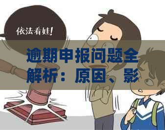 逾期申报问题全解析：原因、影响及解决办法