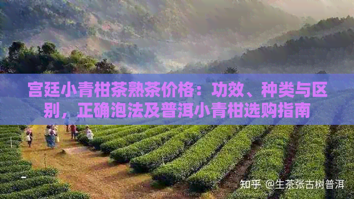 宫廷小青柑茶熟茶价格：功效、种类与区别，正确泡法及普洱小青柑选购指南