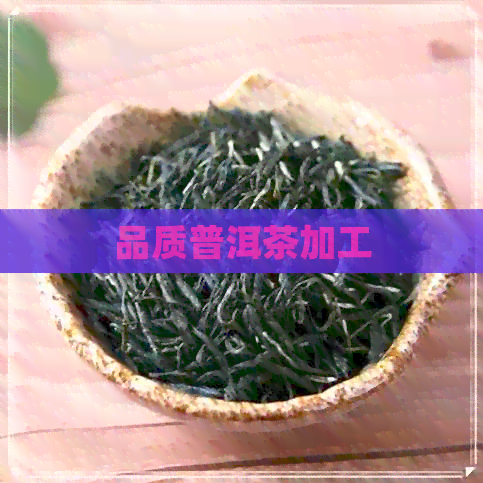 品质普洱茶加工