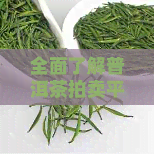 全面了解普洱茶拍卖平台：推荐与比较，助你挑选优质茶叶