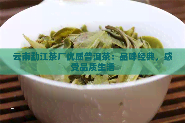 云南勐江茶厂优质普洱茶：品味经典，感受品质生活