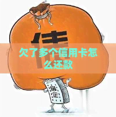 欠了多个信用卡怎么还款