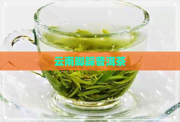 云南脚踩普洱茶