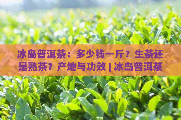 冰岛普洱茶：多少钱一斤？生茶还是熟茶？产地与功效 | 冰岛普洱茶特点口感