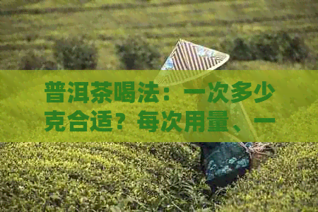 普洱茶喝法：一次多少克合适？每次用量、一次几克及一次喝多少毫升解析