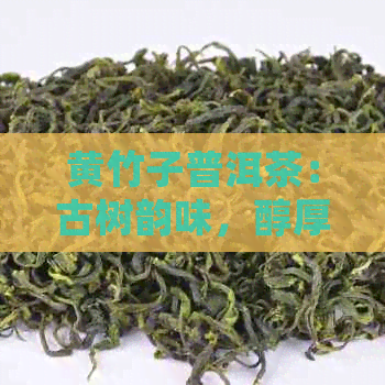 黄竹子普洱茶：古树韵味，醇厚口感，品鉴云南独特风味