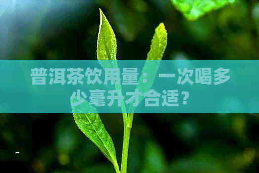 普洱茶饮用量：一次喝多少毫升才合适？