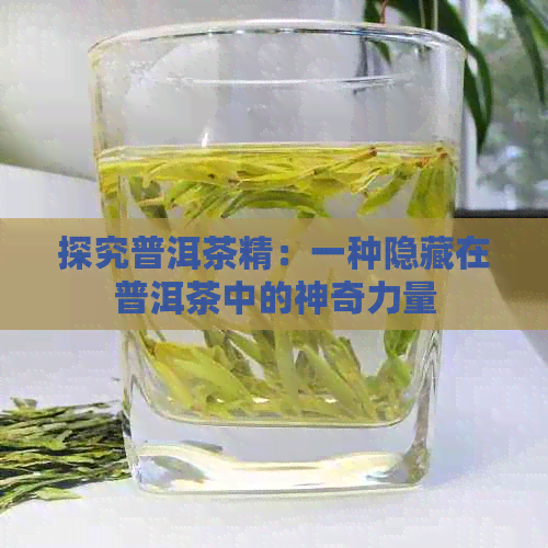 探究普洱茶精：一种隐藏在普洱茶中的神奇力量