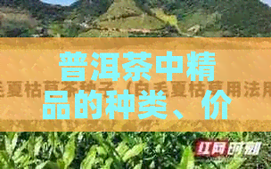 普洱茶中精品的种类、价格和品质：揭示普洱茶中的优质茶叶。