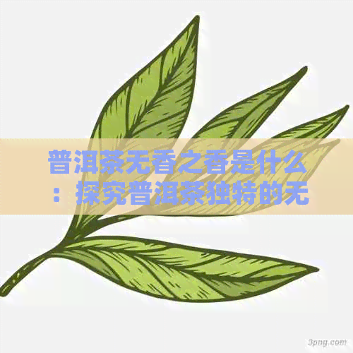 普洱茶无香之香是什么：探究普洱茶独特的无味魅力