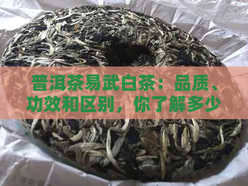 普洱茶易武白茶：品质、功效和区别，你了解多少？