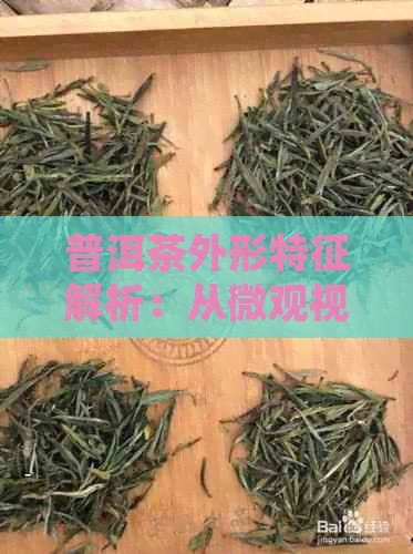 普洱茶外形特征解析：从微观视角探寻普洱茶的形状奥秘