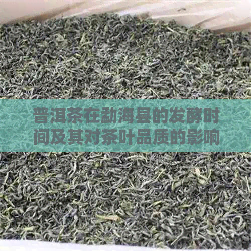 普洱茶在勐海县的发酵时间及其对茶叶品质的影响解析