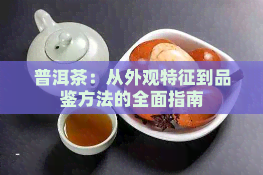 普洱茶：从外观特征到品鉴方法的全面指南