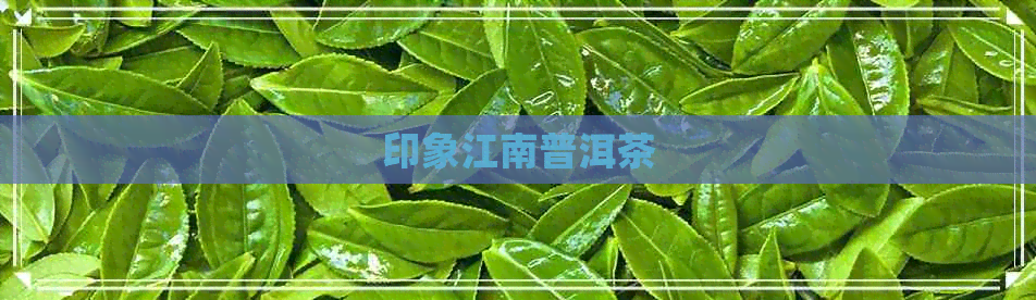 印象江南普洱茶