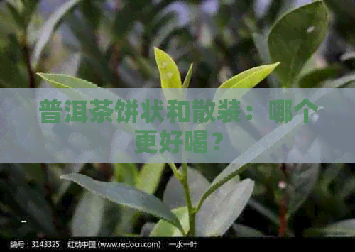 普洱茶饼状和散装：哪个更好喝？