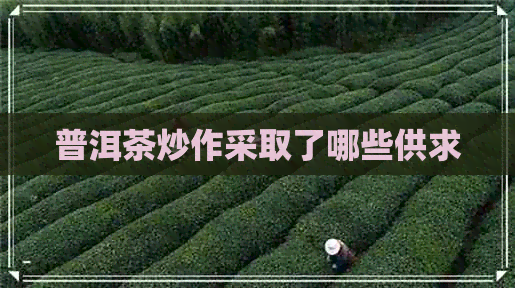 普洱茶炒作采取了哪些供求