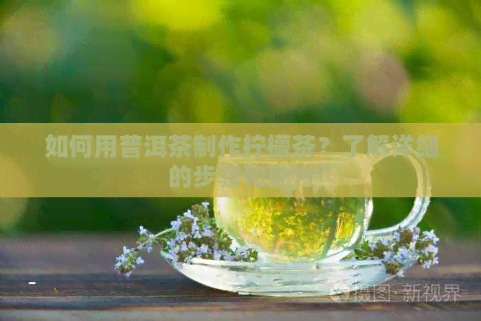 如何用普洱茶制作柠檬茶？了解详细的步骤和配方