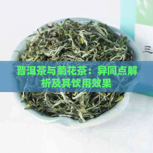 普洱茶与菊花茶：异同点解析及其饮用效果