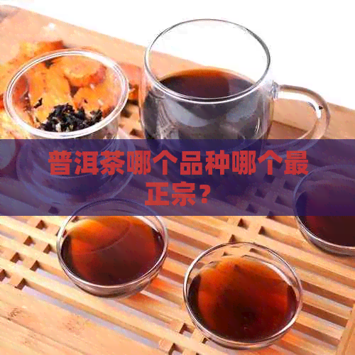 普洱茶哪个品种哪个最正宗？