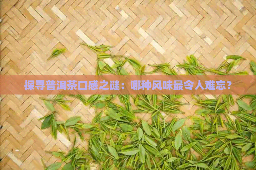 探寻普洱茶口感之谜：哪种风味最令人难忘？