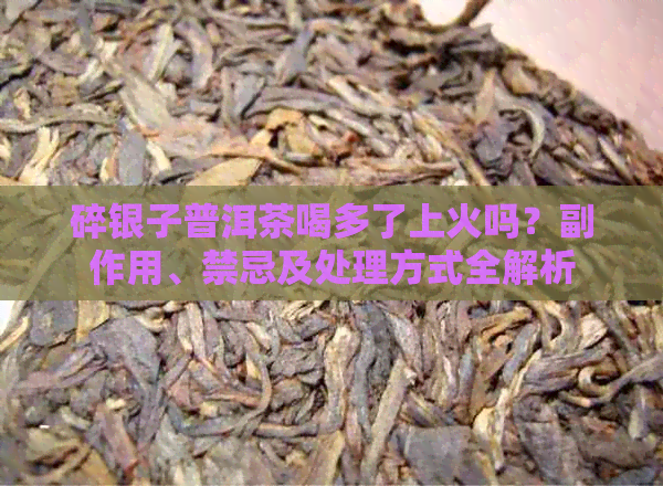 碎银子普洱茶喝多了上火吗？副作用、禁忌及处理方式全解析