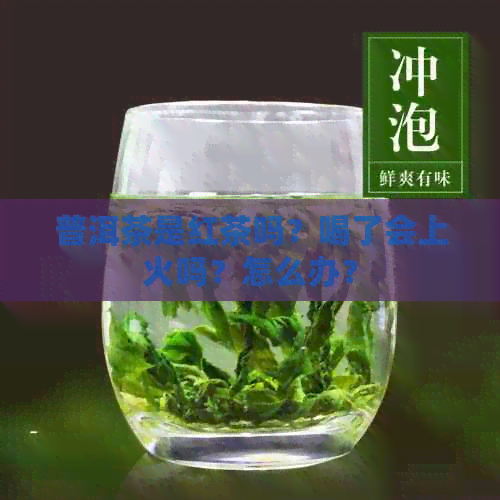 普洱茶是红茶吗？喝了会上火吗？怎么办？