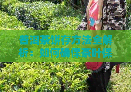 普洱茶饼存方法全解析：如何确保茶叶保持品质与风味？