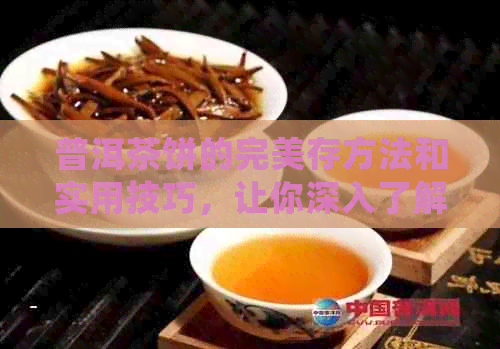 普洱茶饼的完美存方法和实用技巧，让你深入了解如何正确保存普洱茶