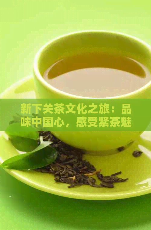 新下关茶文化之旅：品味中国心，感受紧茶魅力