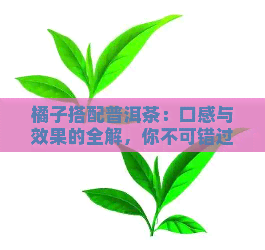 橘子搭配普洱茶：口感与效果的全解，你不可错过的茶叶搭配推荐