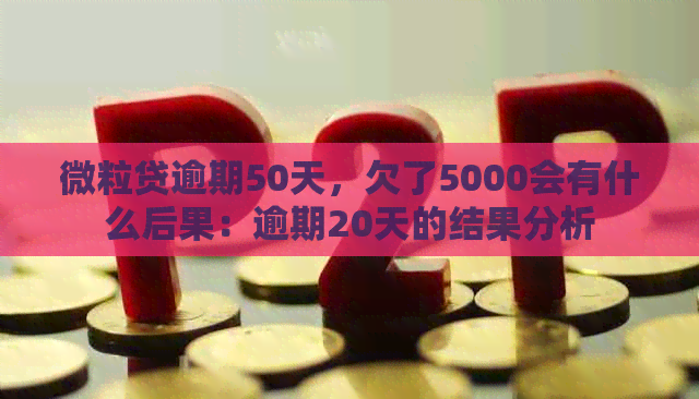 微粒贷逾期50天，欠了5000会有什么后果：逾期20天的结果分析