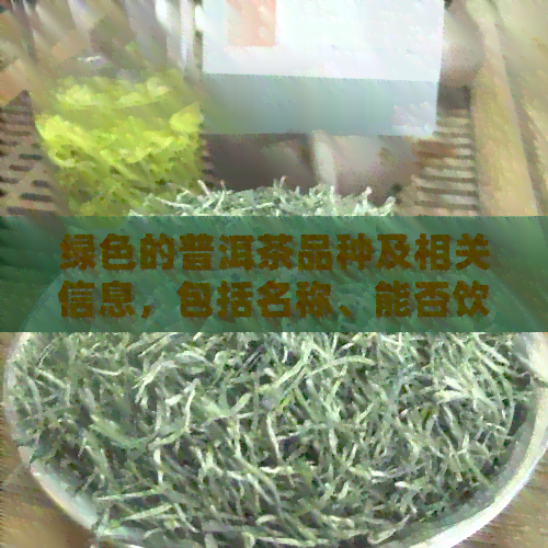 绿色的普洱茶品种及相关信息，包括名称、能否饮用等。