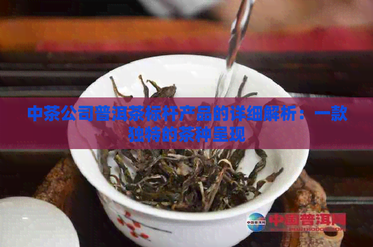 中茶公司普洱茶标杆产品的详细解析：一款独特的茶种呈现